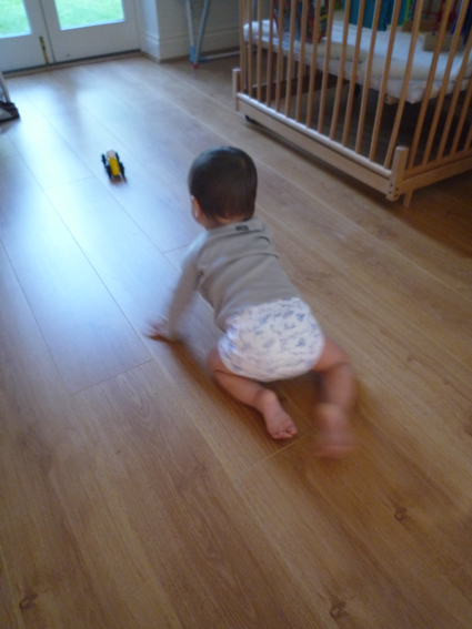 19 August Felix crawling.jpg